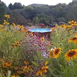 Du Coucou In By Interhome