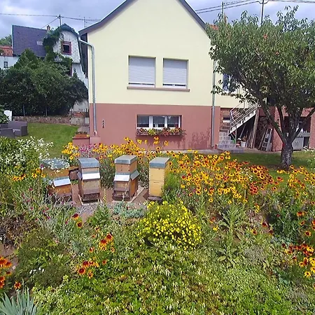 Du Coucou In By Interhome Lichtenberg