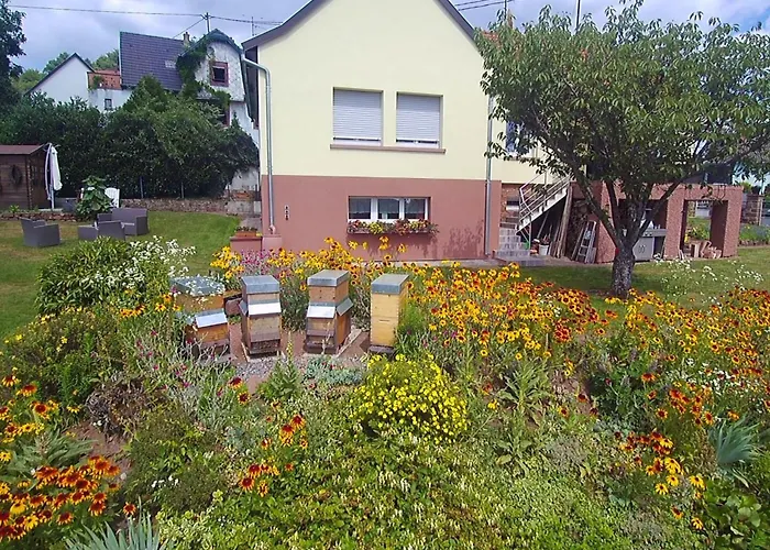 Du Coucou In By Interhome Lichtenberg