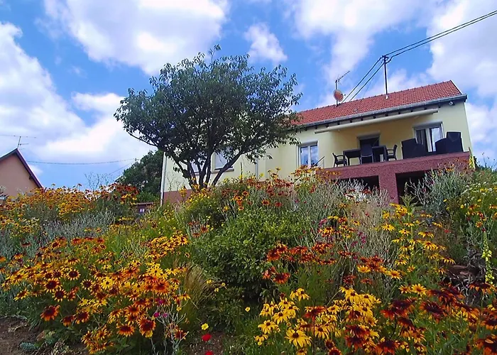 Du Coucou In By Interhome *