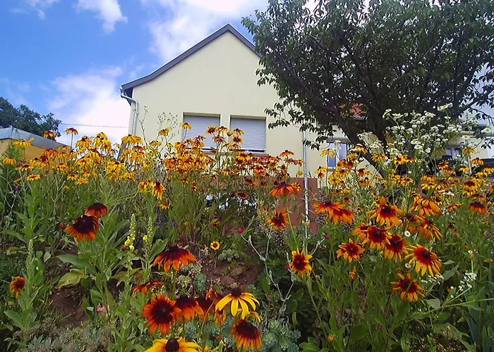 Du Coucou In By Interhome * Lichtenberg