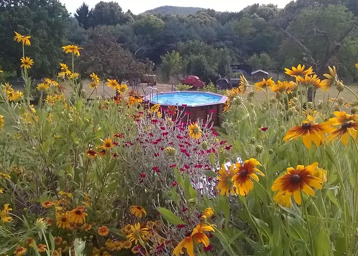 Du Coucou In By Interhome