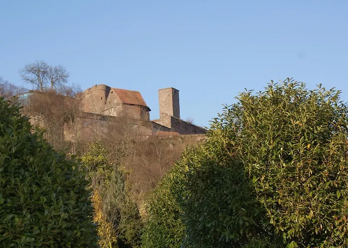 Du Coucou In By Interhome Lichtenberg