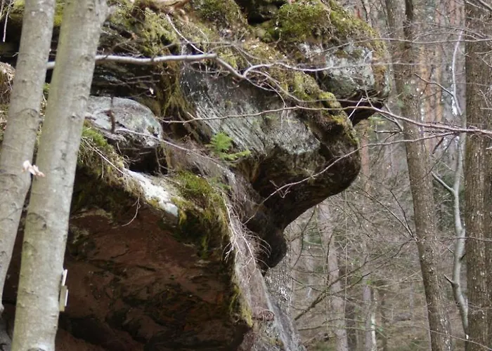 Du Coucou In By Interhome Apartman