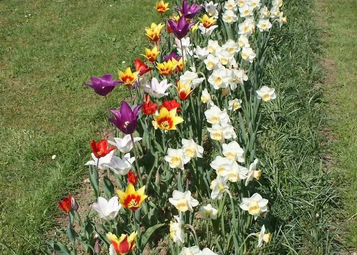 Du Coucou In By Interhome *